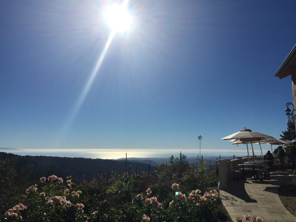 Ocean view at Loma Prieta Winery